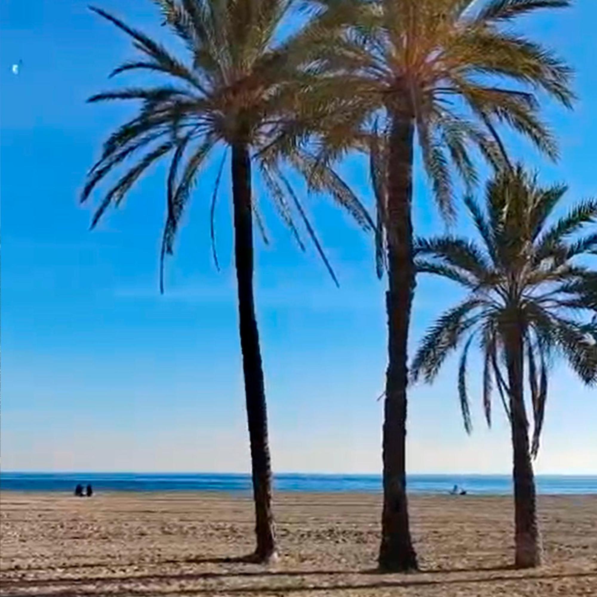 Apartamento Santa Pola Primera Linea De Playa 외부 사진